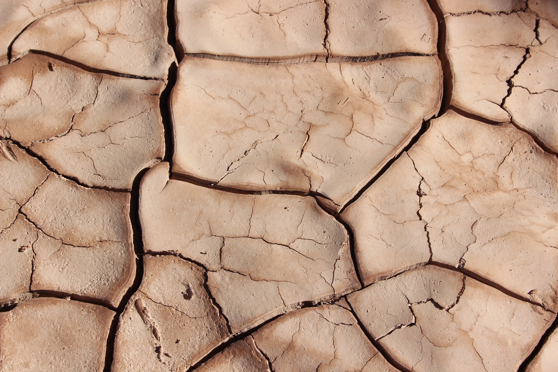 Photo by Brad Helmink on Unsplash Cracked ground