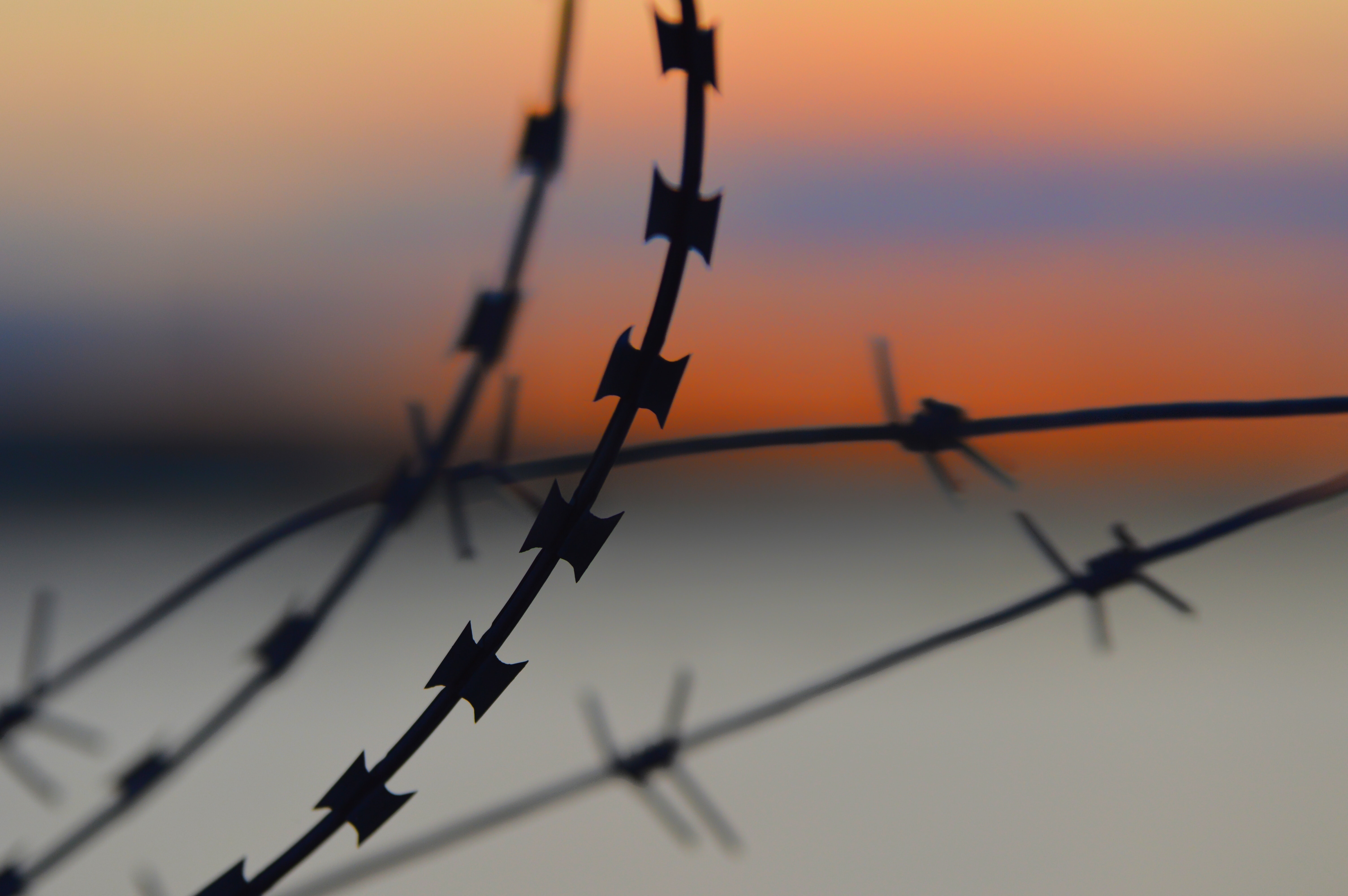 barb wire fence