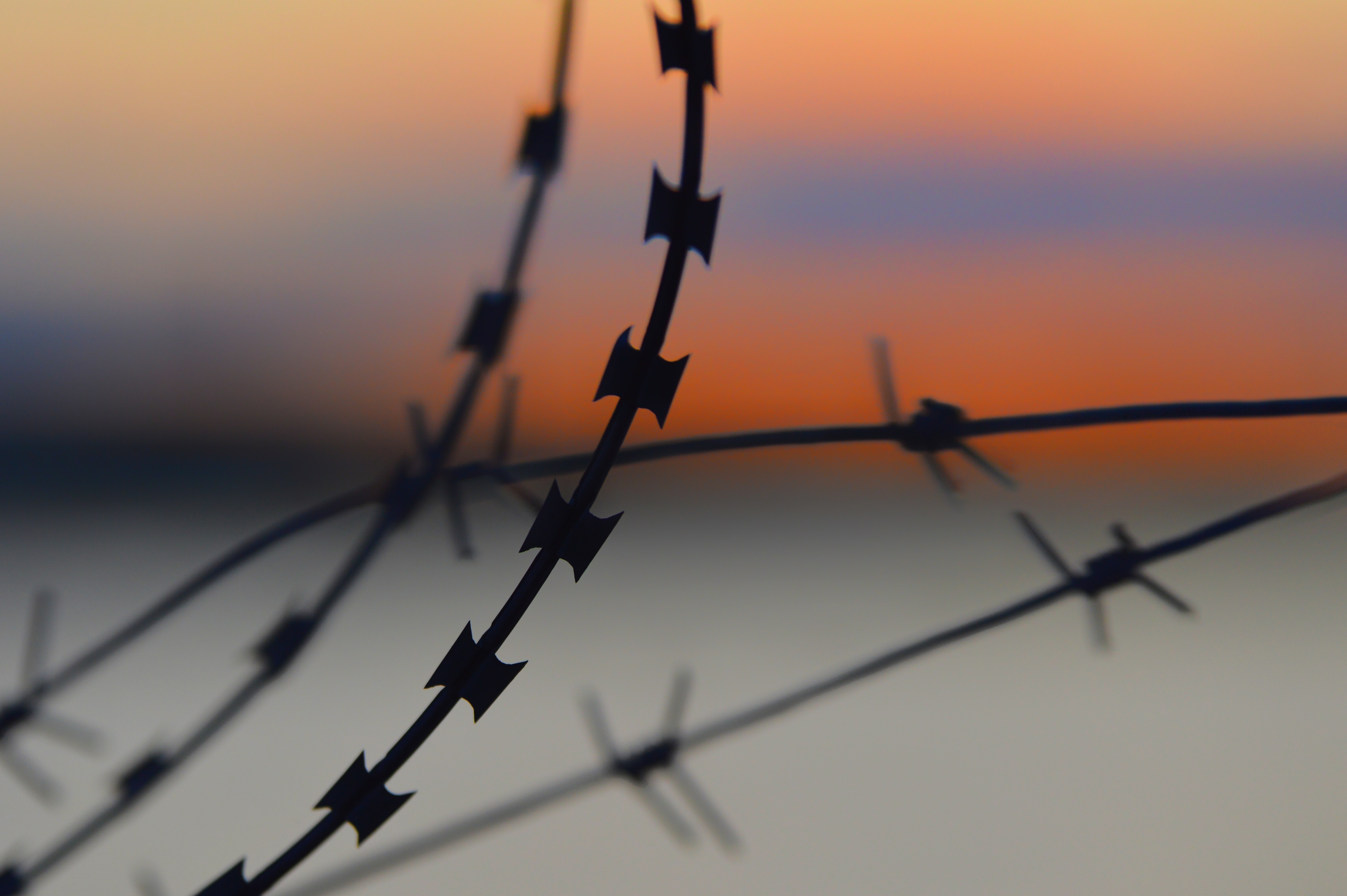 barb wire fence barb wire fence