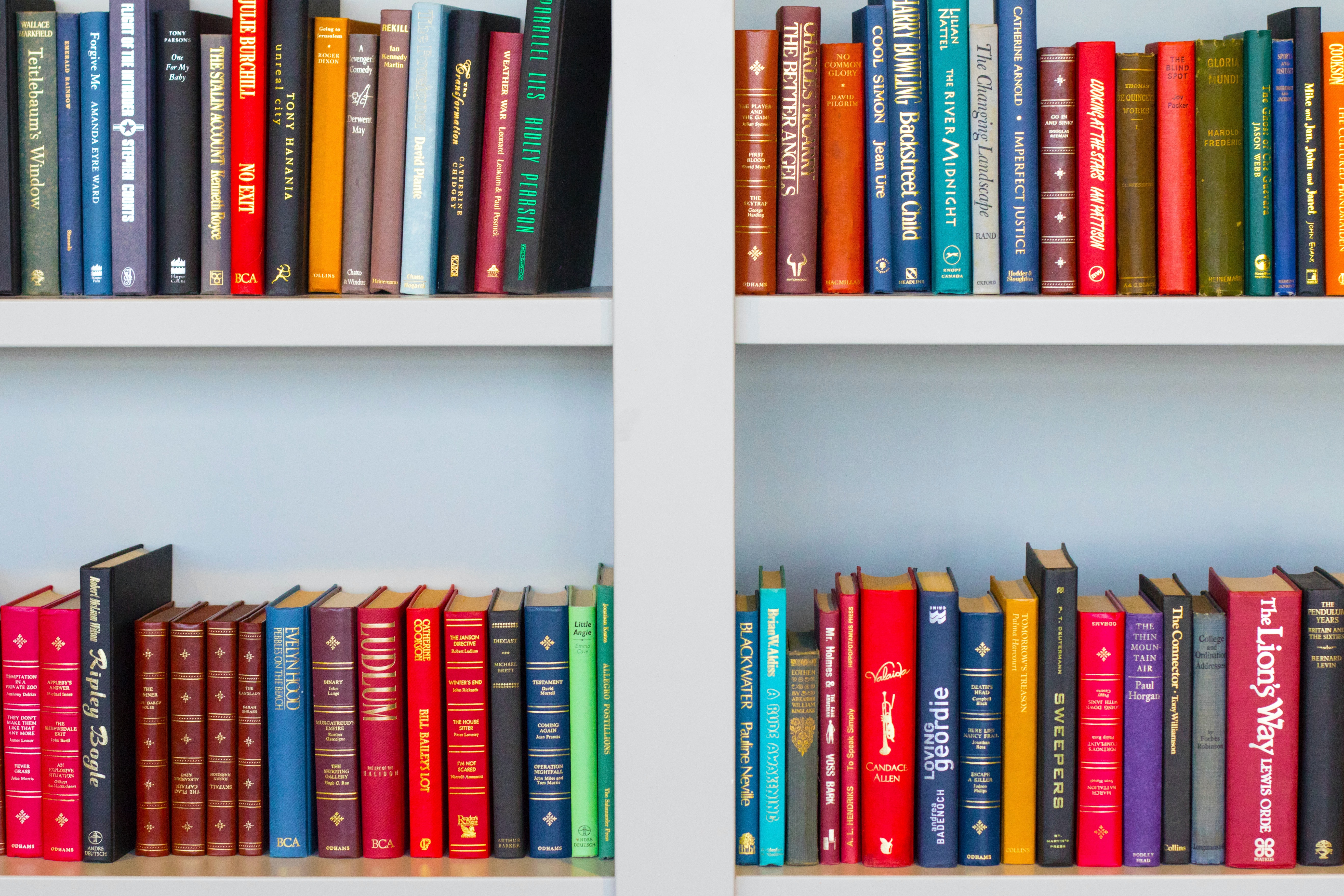 Bookshelves with colourful books. Photo by Nick Fewings on Unsplash