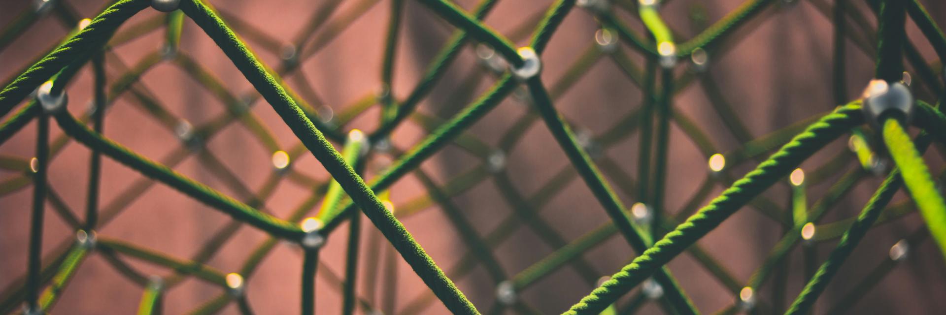 Green rope - Photo by Clint Adair on Unsplash