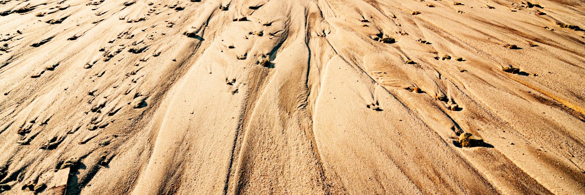 Desert sand - Credit Envato Elements