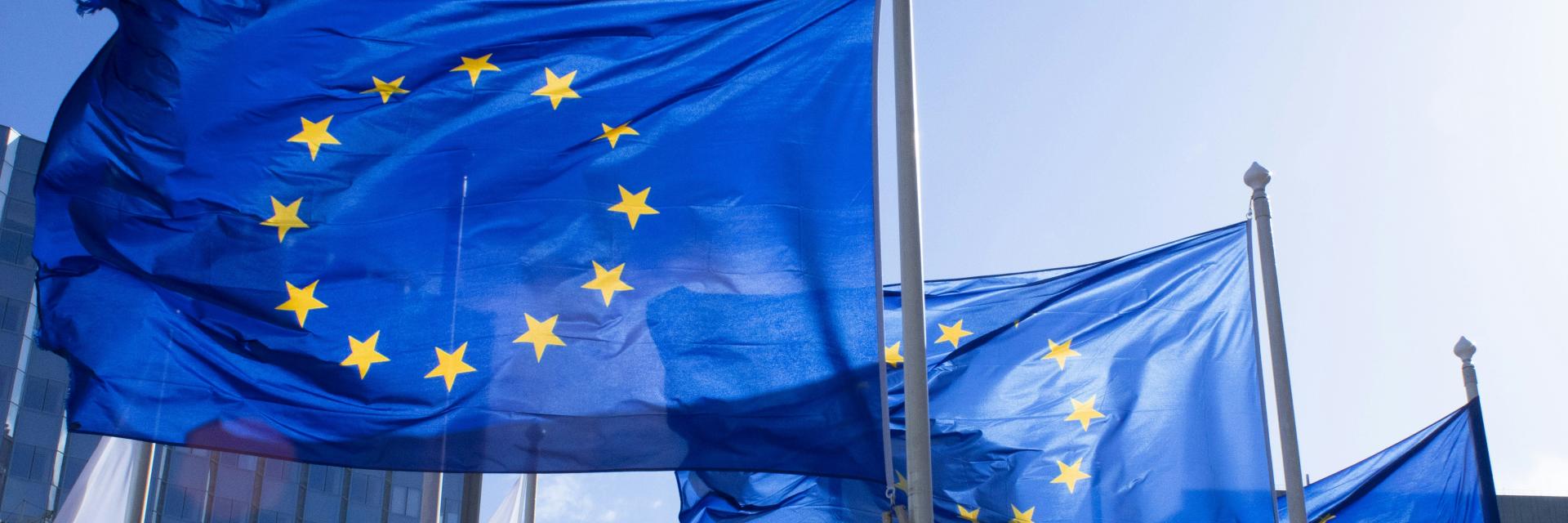 Eu flags. Photo by ALEXANDRE LALLEMAND on Unsplash  