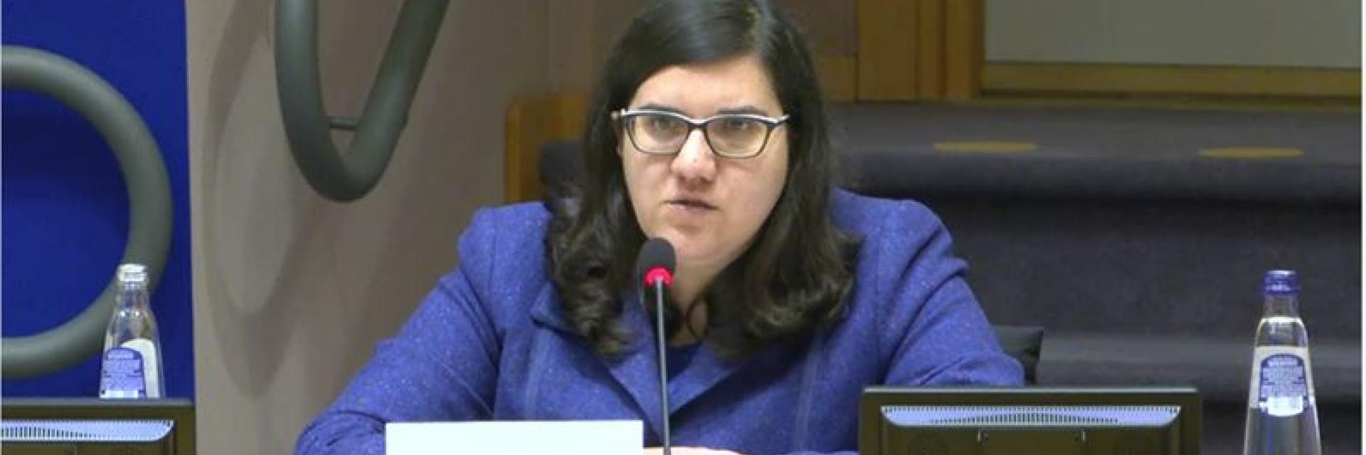 Image of EUISS analyst addressing public at Parliamentary hearing © EUISS