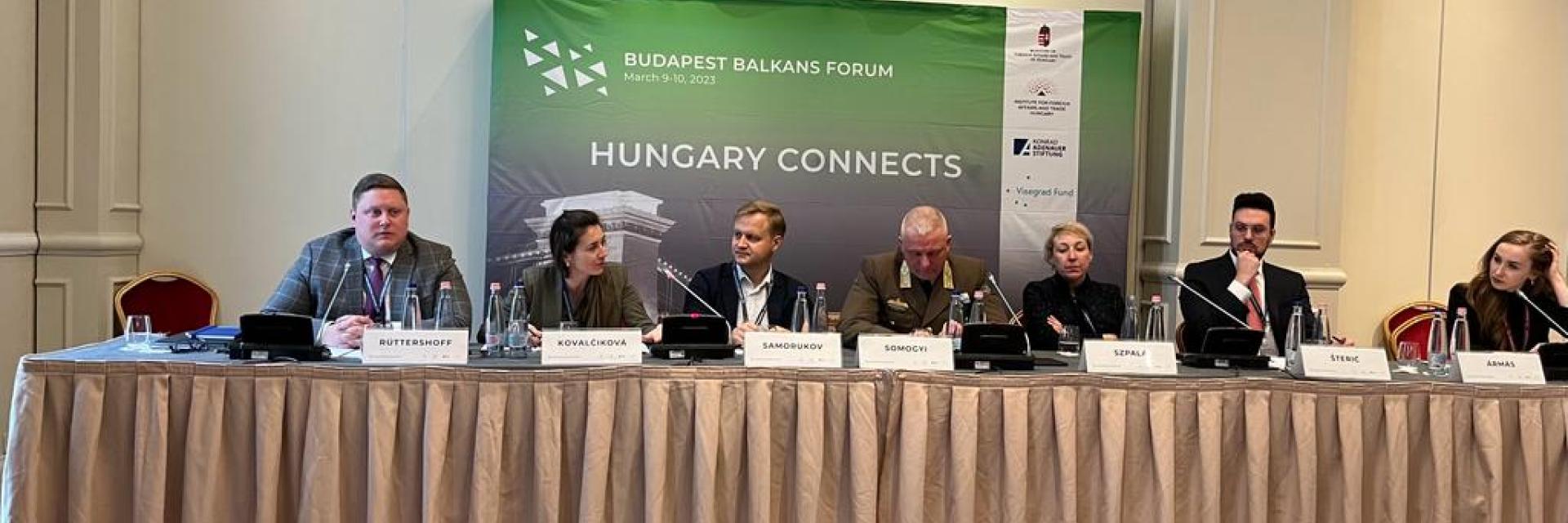 Image of panel - © EUISS