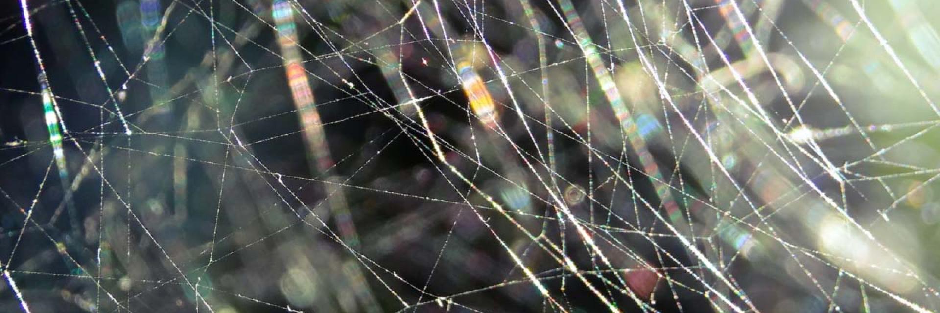 Abstract image of a web - © Unsplash