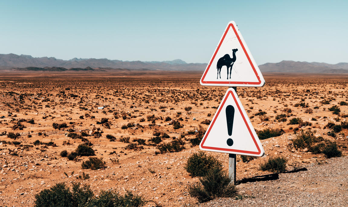 Sign in desert of camel