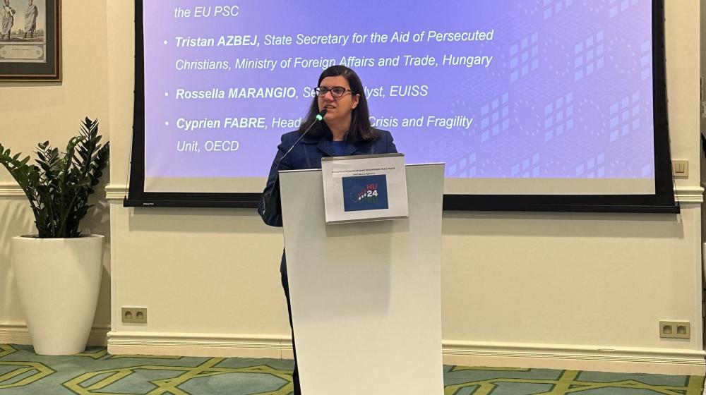 Workshop on the Humanitarian-Development-Peace Nexus approach