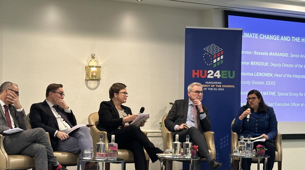 Workshop on the Humanitarian-Development-Peace Nexus approach