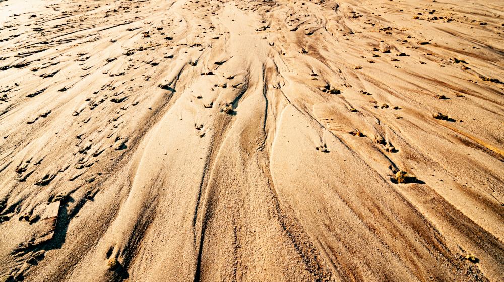 Desert sand - Credit Envato Elements