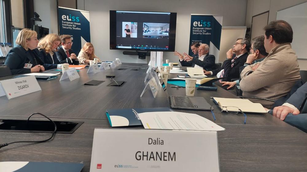 Image of panel - © EUISS