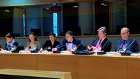 Daniel Fiott briefs EU PSC Ambassadors