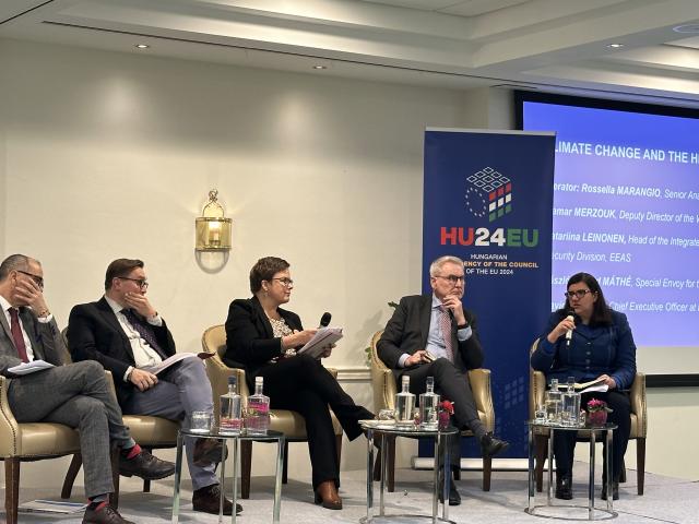 Workshop on the Humanitarian-Development-Peace Nexus approach