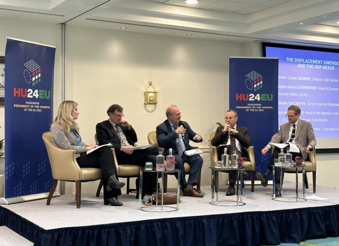 Workshop on the Humanitarian-Development-Peace Nexus approach