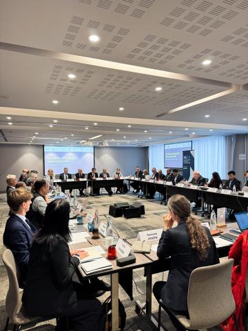 Participants at the 2025 EU-India Strategic Dialogue