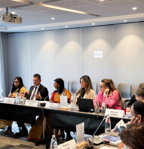 Participants at the 2025 EU-India Strategic Dialogue