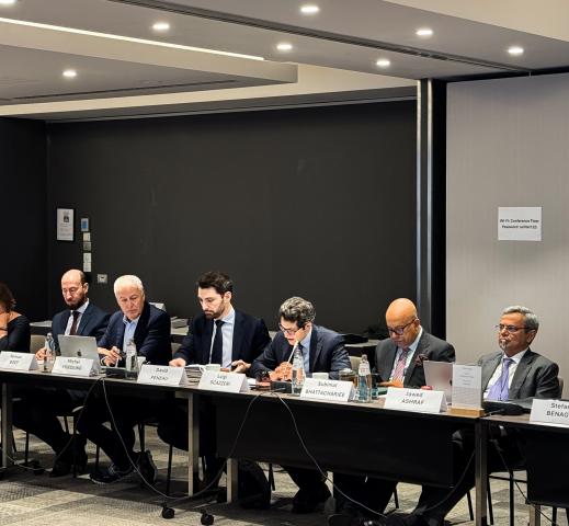 Participants at the 2025 EU-India Strategic Dialogue