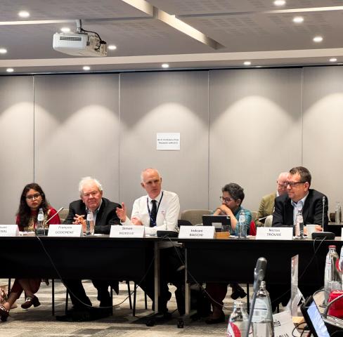 Participants at the 2025 EU-India Strategic Dialogue